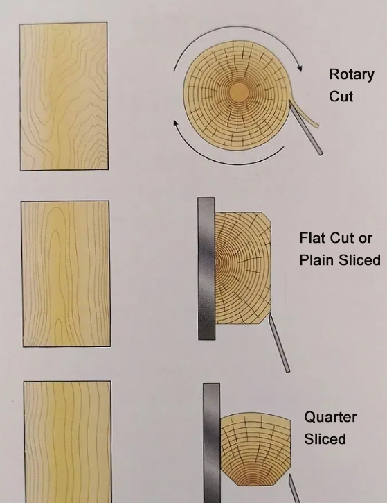 The Veneer Cutting Process - Veneer Hub